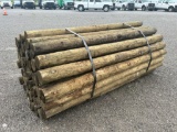 BUNDLE OF (60) WOODEN POSTS