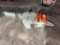 MS381 COMMERCIAL CHAINSAW