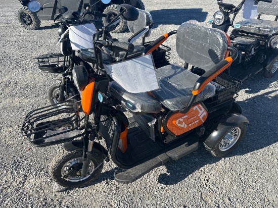 2025 SPIRIT ELECTRIC TRICYCLE
