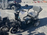 2025 SPIRIT ELECTRIC TRICYCLE