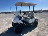 2019 YAMAHA DR2A19 GAS GOLF CART