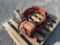 FORK MOUNTED DRUM GRAPPLE/CLIPPER CUT OFF SAW