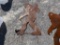 MAD SASQUATCH