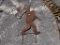 'MERICA LOVING' SASQUATCH