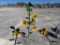 JOHN DEERE BIRDHOUSE ON STAND