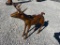 SMALL METAL ELK DECOR