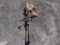 COPPER ROOSTER WEATHERVANE