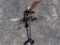 COPPER EAGLE WEATHERVANE
