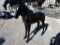BLACK FOAL STATUE