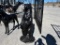 STANDING BLACK BEAR