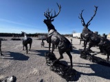 MOUTAIN ELK STATUE