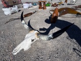 DECORATIVE BULL SKULL