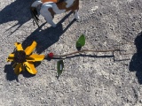 SPINNING SUNFLOWER YARD DECOR