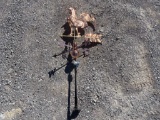 COPPER ROOSTER WEATHERVANE