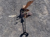 COPPER EAGLE WEATHERVANE