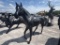 SPIRIT THE HORSE STATUE