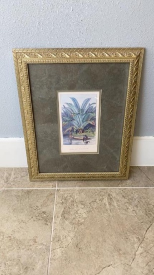 21 x 16 Framed Picture