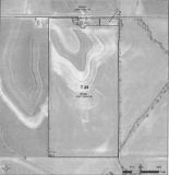 Farm 3 - 80 acres m/l