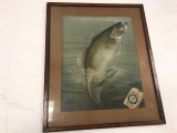 Bass Fish Picture with Arm & Hammer, Church & Co's Soda Box