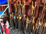 Various Chain Hoists & Come Alongs