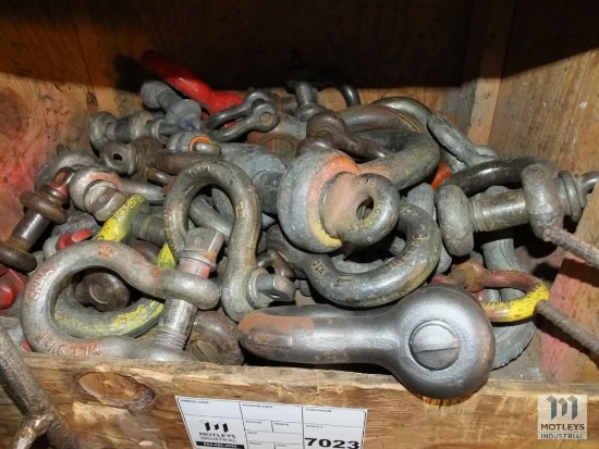 Shackles - Various Sizes