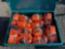 2024 Paladin PLD-RF24 Ratchet Tie Downs & Tool Box