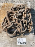 1 Lifting Chain with D-Ring