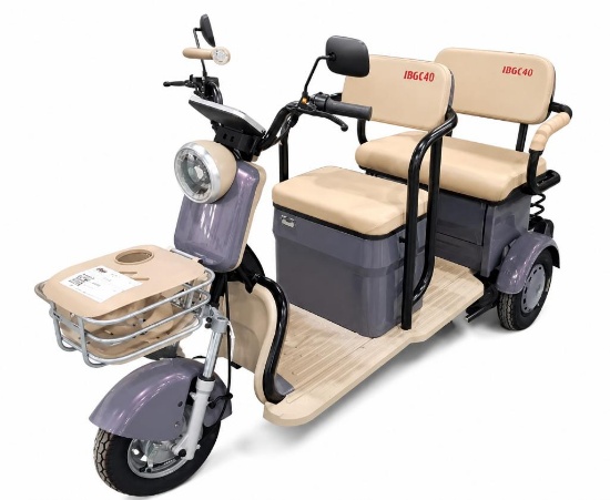 2026 Unused Purple SDLANCH IRGC40 Electric Tricycle