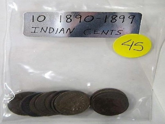 10 1890-1899 Indian Cents