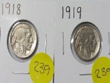 1918, 1919 Buffalo Nickel