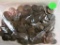 200 Unresearched Indianhead Cents