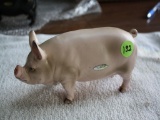 Rare Yorkshire Pig # 453, 7