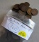 100 Indianhead Cents