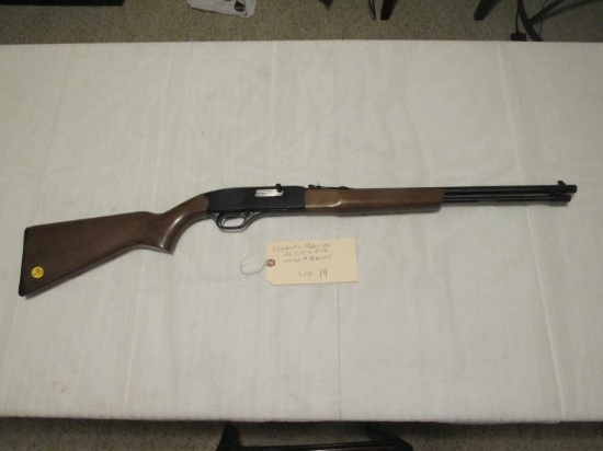 Winchester Model 190 22 long or long rifle