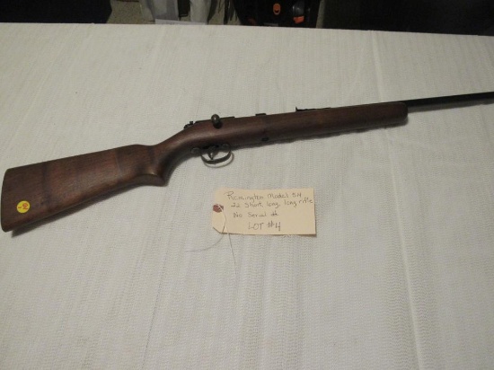 Remington Model 514 22 Short, long, long rifle