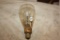 Rare Antique Colonial Light Bulb