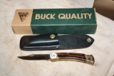 Buck Folding Hunting Knife, 110U