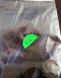 Bag of 25 Indian Head Cents