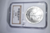 1991 Silver Eagle