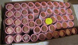 $25 Box of Styled Pennies