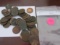 Bag of 50 Indian Head Cents