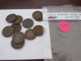 Bag of 12 Indian Head Cents