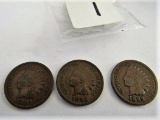 Lot of 3 Indian Head Cents