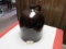 5 gal brown beehive jug