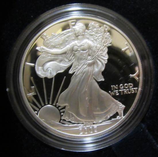2003 Silver Eagle Proof Dollar