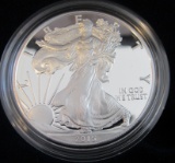 2015 American Eagle Coin