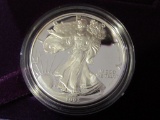1993 Silver Eagle Proof Dollar