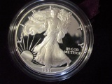1991 Silver Eagle Proof Dollar