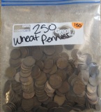 250 Wheat Pennies