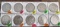 (5) 1974-D Ikes, (5) 1976 Eisenhower Dollars